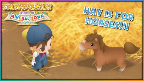 story of seasons friends of mineral town horse|HOW TO GET THE SECOND HORSE .